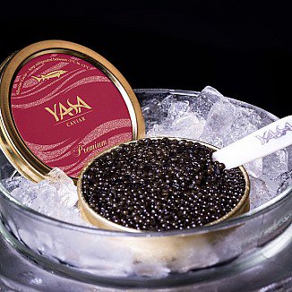 seafrontfish's tweet photo. Just in time for the holidays...We now carry Yasa Sturgeon Caviar! #caviar #fresh #seafood #fish https://t.co/srd7W1gRqR