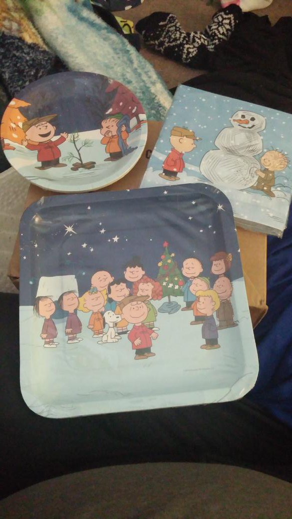 RachelReviews15's tweet photo. Totally loving these adorable @Snoopy #peanuts #Christmas plates I ordered from @OrientalTrading company. 🎄🎁❤ ❄⛄😀 https://t.co/nTslfA7YSs