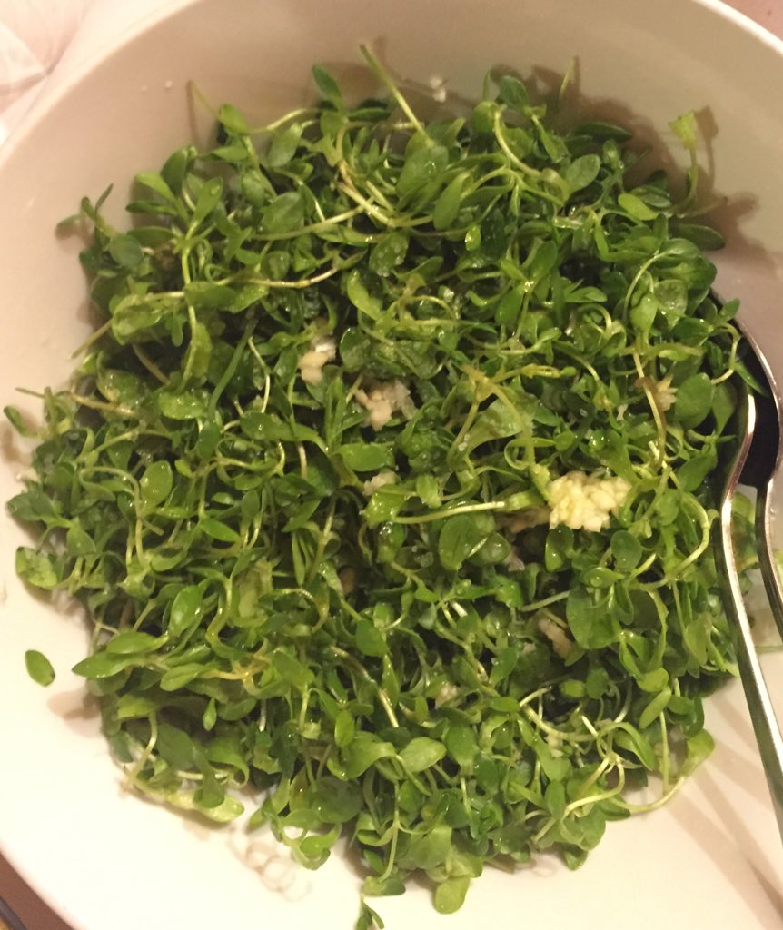 La primera vez que pruebo esta ensalada llamada "Maruja" típica de esta tierra de <a href="/FiestasSalamnca/">Fiestas Salamanca</a> en <a href="/ElBuenGust0/">El Buen Gusto</a>