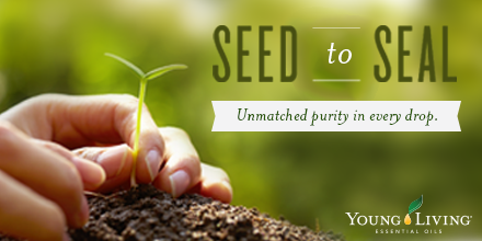 youngliving's tweet photo. Our Seed to Seal website has been revamped to be better than ever! Take a look: https://t.co/JQgFlYgAzq https://t.co/OFryjlzUEe