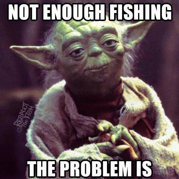 ccacrystalcoast's tweet photo. May the Force be with you this weekend! https://t.co/yaggfSTjmU