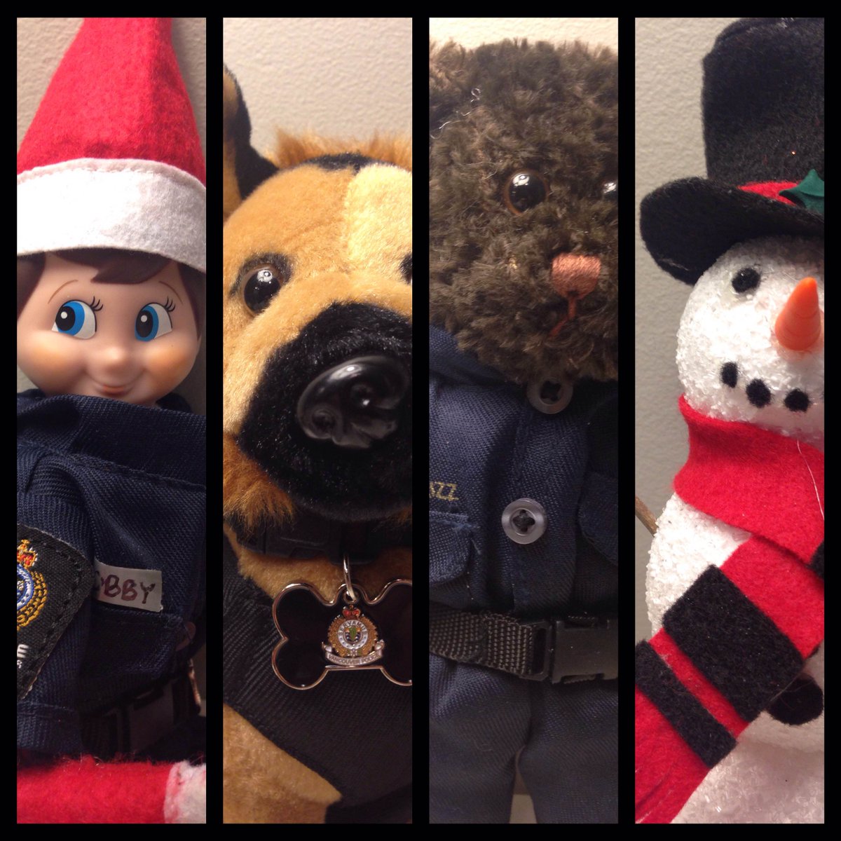 VancouverPD's tweet photo. Bobby - detecting, Shep - tracking, Grizz - forensics, Frosty - common sense. #VPDElf Let's se how they do. https://t.co/EZq3mtMTFK