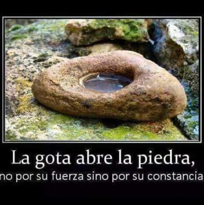 DIOSA_SILVA_S's tweet photo. https://t.co/4Apg6kcz6X