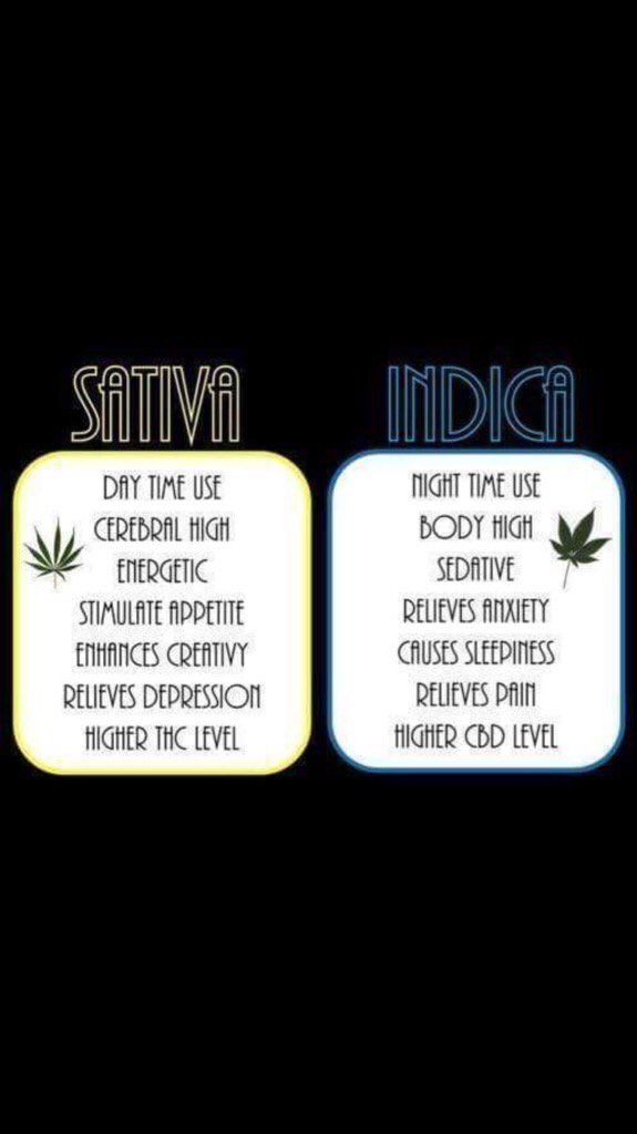 HempLifeGlobal's tweet photo. Knowing the difference of Bud you smoke is imperative. #knowyourbuds #hemplife https://t.co/zkhiMt8Byq
