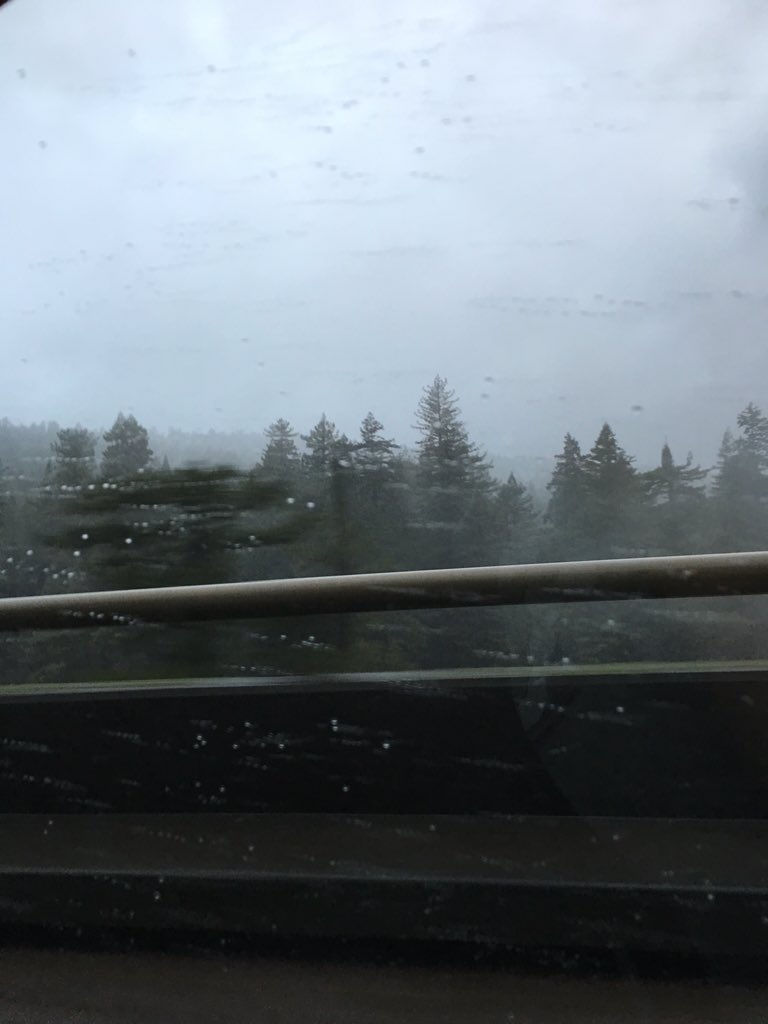 MichaelYarmy's tweet image. In humbolt going to pick up sister from college #happy holidays