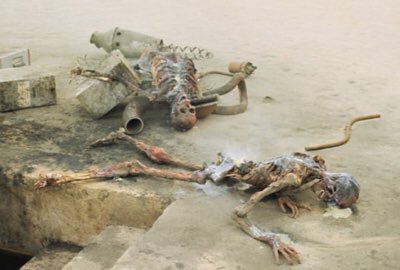 SkywalkerReal's tweet image. WHHHYYYYYYYYYYYYYY