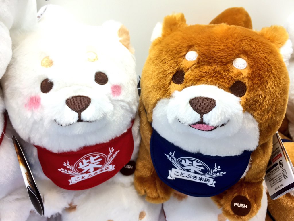 ピタゴラス プライズ情報 忠犬もちしば しっぽふりふりギミック 全２種 投入済みです 前足のボタンを押すと秒間しっぽがふりふり動くギミックぬいぐるみです 大きさは中くらいのぬいぐるみサイズです 是非getして下さいね T Co J9cgcgbtwd