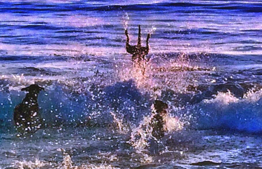 CenterMassGroup's tweet image. Hooyah @vcsark9 K9 Dino&apos;s best replicating the SEALs Trident!  Respect for all Military personnel. #vcsark9 #RT