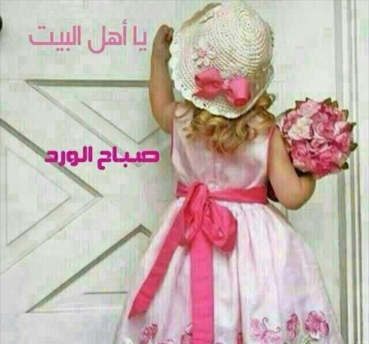صبأح الورد