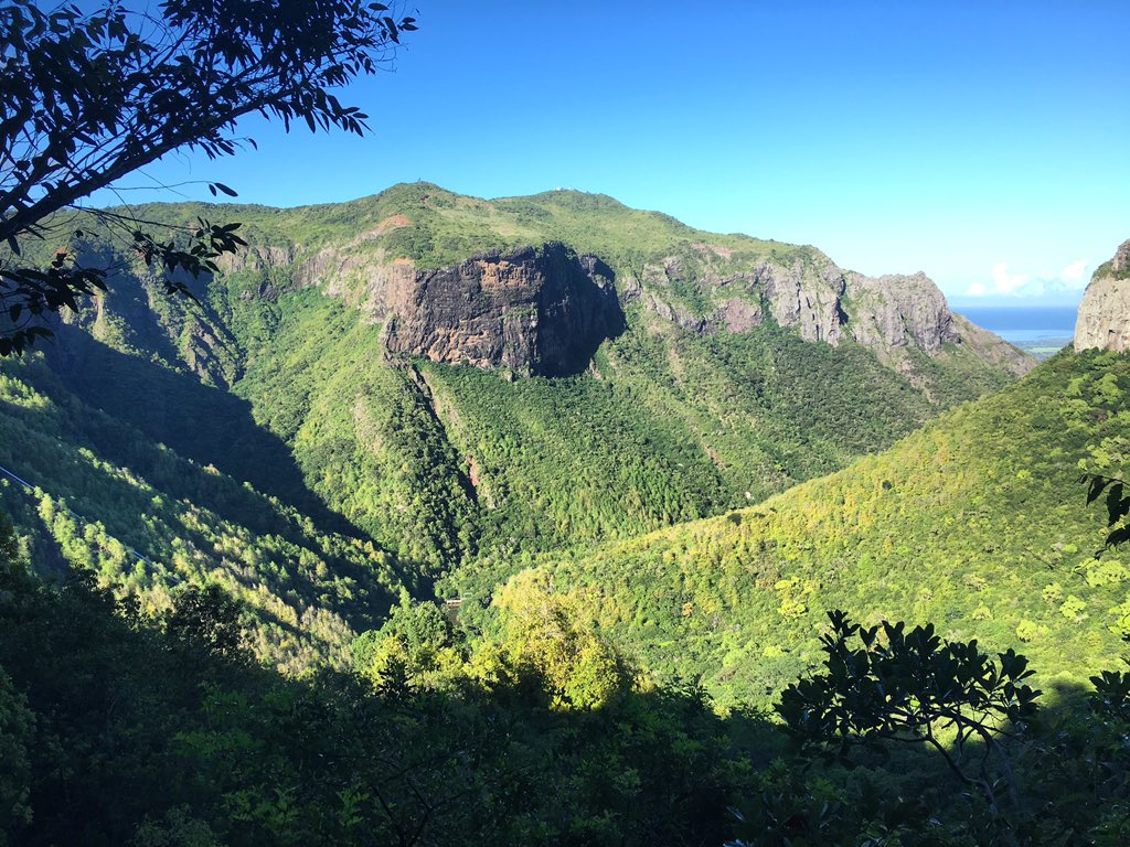 YanatureA's tweet photo. Discover the heart of Mauritius with our passionate guides !

https://t.co/YFSOYQzHLT https://t.co/t2YLwBuq9k
