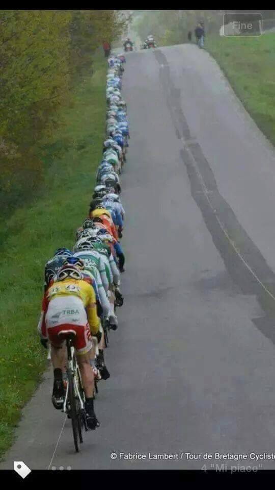 Frswrd's tweet image. 