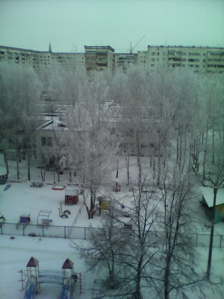 nuifamilia's tweet image. My window: today, December 19