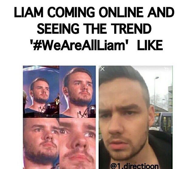 MelissaIdaa's tweet photo. 😂😂❤️ #WeAreAllLiam https://t.co/SCYimolgxw