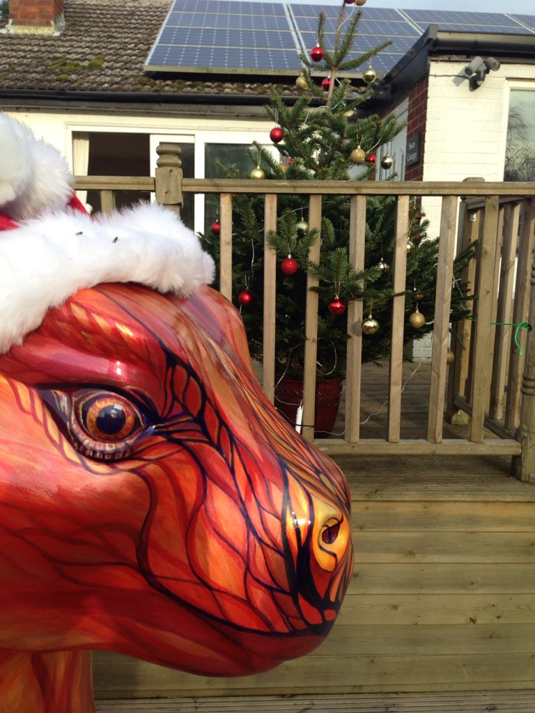 RaptorsFire tweet media