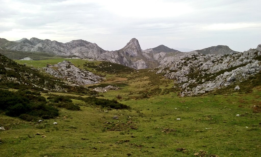 ovizapico's tweet photo. Rachas muy fuertes de viento en @Picos_de_Europa #Jascal @MeteoAsturias @eltiempotpa @arangometeo https://t.co/hpfW4d6KD2