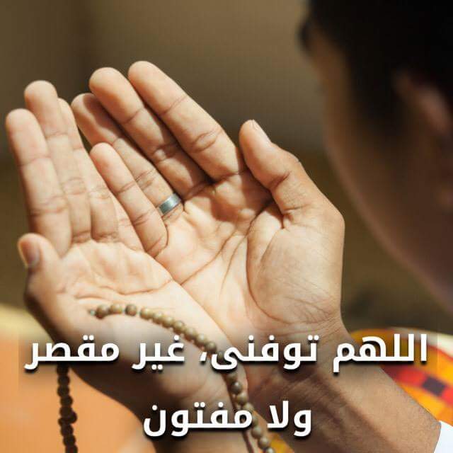 MustafaHosny's tweet photo. اللهم توفني .. غير مقصر ولا مفتون https://t.co/vw2jdHKGOE