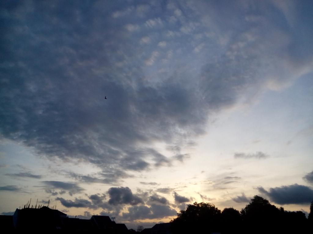 aku masih mengagumi senja