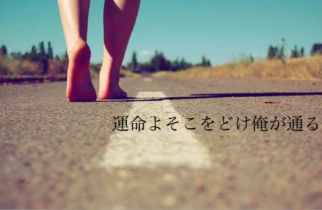 海星 Hitode Twitter