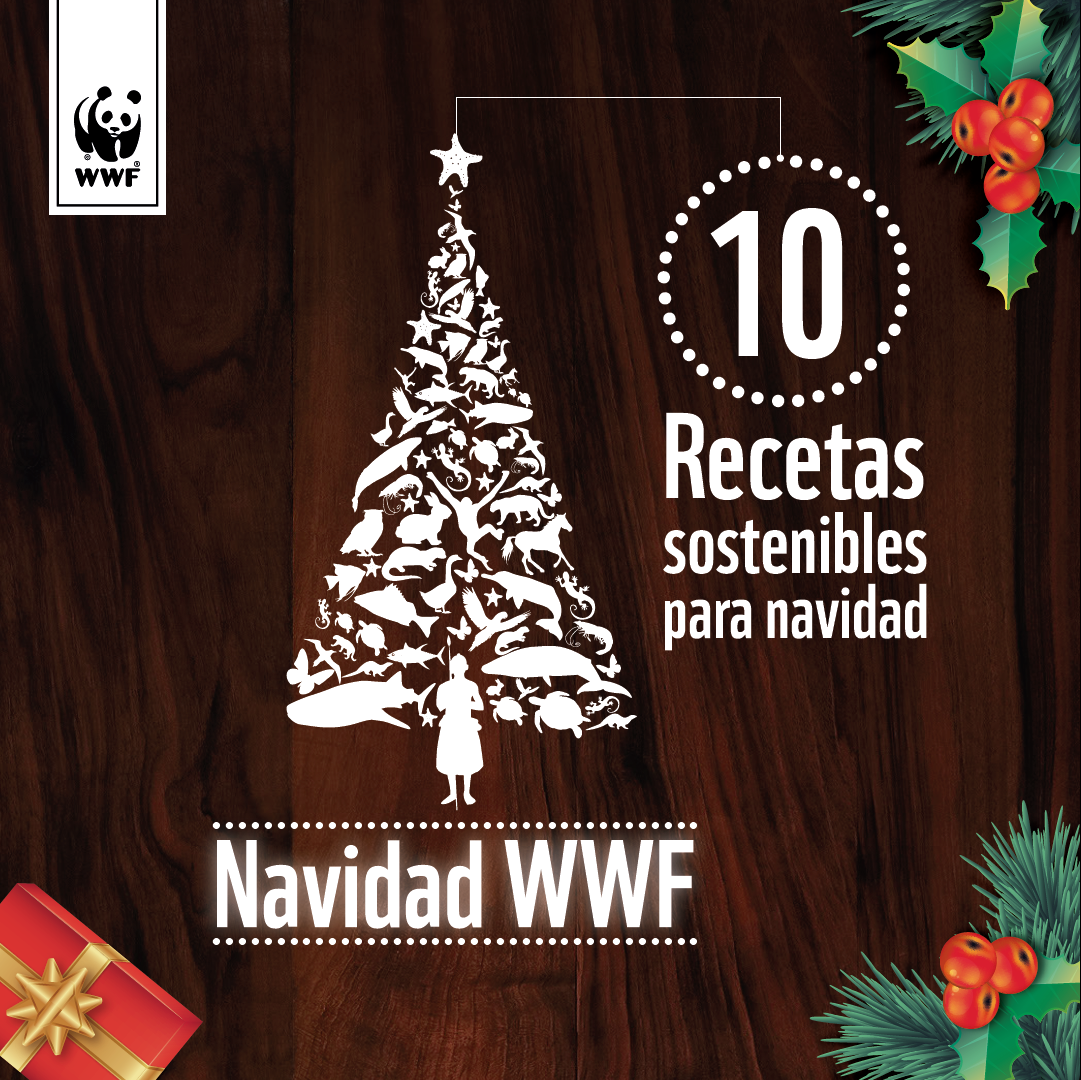 WWFColombia's tweet photo. Nuestro mejor regalo es una navidad más sostenible: descárgalo ahora ---> https://t.co/JMVGmAWJ3m https://t.co/OT5d1JCPM1