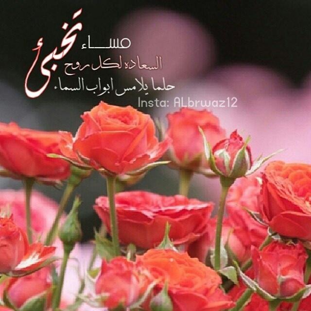 rabab0905's tweet photo. @mord307 @msaade99 @adelmoto @hr_assoul @enasalihu751 @AAAASSQ @AZiq @umyusuf83 مسااااااء الورد والفل وياسمين https://t.co/FBs9pVnY11