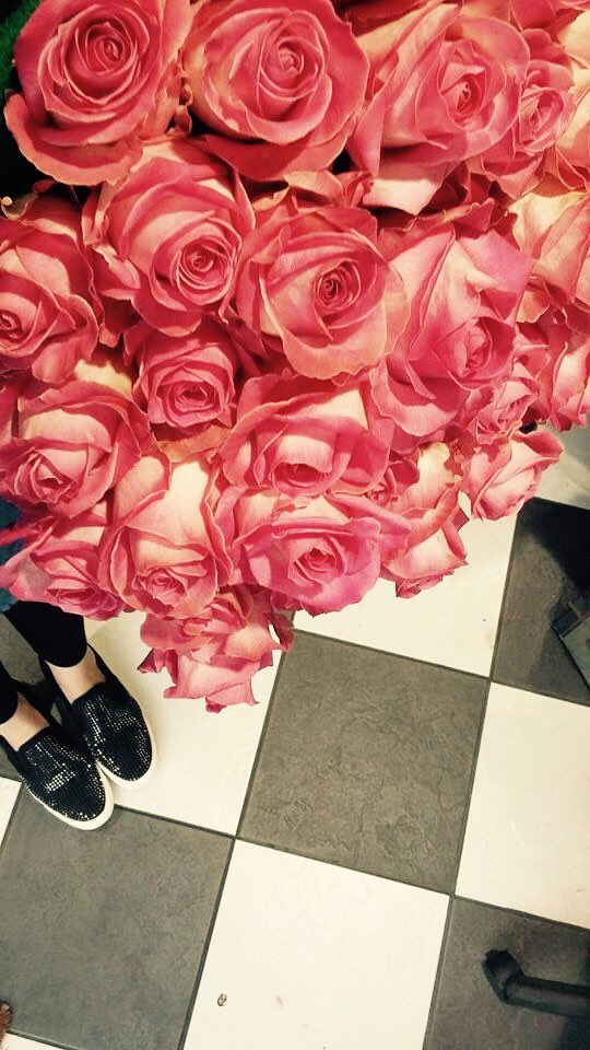 rocakabillyrose's tweet photo. Wow #avalanchecandy #rose #RR #rockabillyrose I'm in love x https://t.co/oJl2kanSVs
