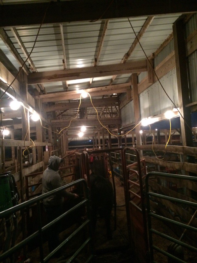 blair_kramer40's tweet photo. Sale morning... Season Finale sale 1 pm Hillsboro, OH https://t.co/N3oqbEajha