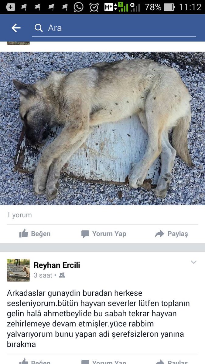 #KatliamlaraSessizKalma