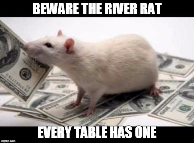 pokersitesus's tweet photo. #NameABuzzkill river rats https://t.co/vKAmIfvpcc