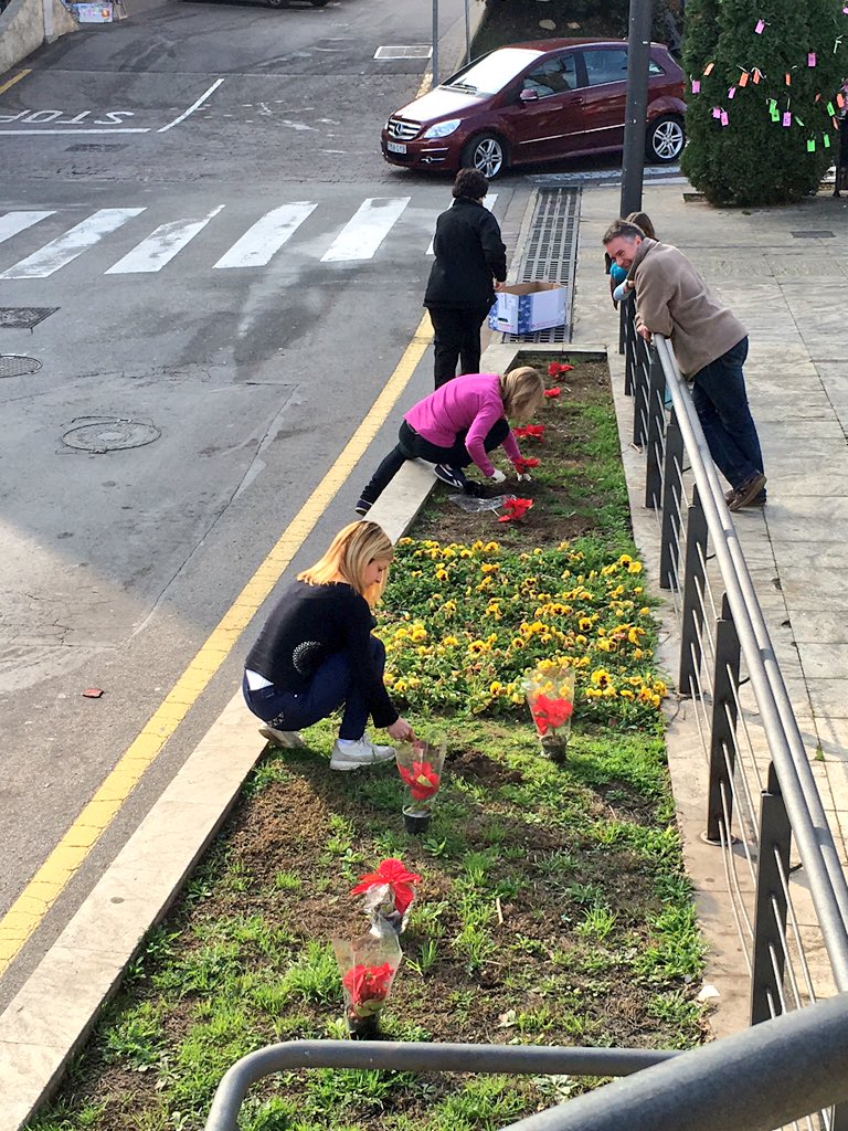 IsidreSierra's tweet photo. #vestim #Nadal2015 #santcliment també hem plantat #ponseties https://t.co/zV0za6LqGm