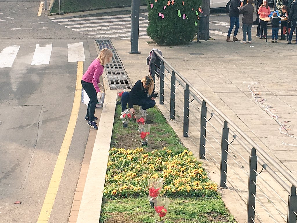 IsidreSierra's tweet photo. #vestim #Nadal2015 #santcliment també hem plantat #ponseties https://t.co/zV0za6LqGm