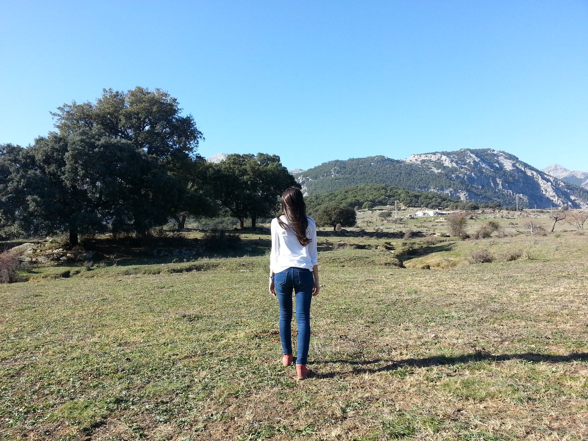 Lauraimachado's tweet photo. #viviresincreible https://t.co/64DuzOdOdV