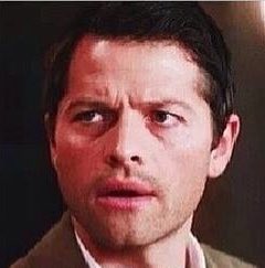 ced1694's tweet photo. Some things never change 😍😍😍😭😭😭❤️❤️❤️😍😍😍 #GrumpyCas #GrumpyCat #BabyMisha https://t.co/rlCET4CLXJ