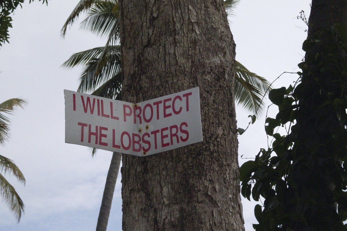 arteryCL's tweet photo. We saw no lobsters in jeopardy near this sign. Job well done. #Trinidad #LobsterLove https://t.co/Vswu1JTayP