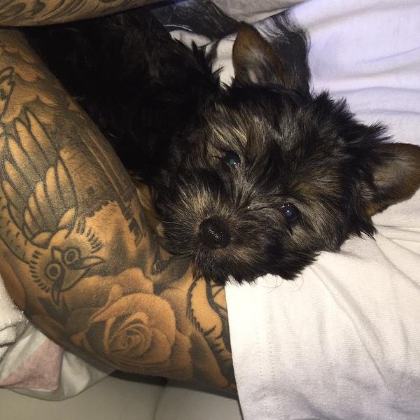 secutebelieber's tweet image. Esther became a new member of Bieber team #JustinAppreciation2015
