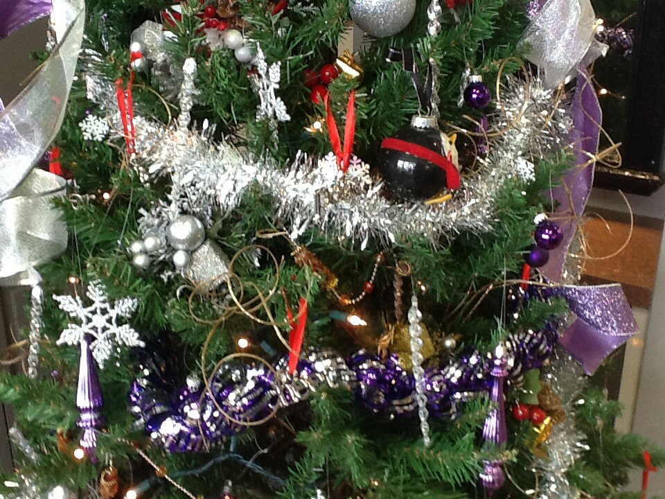 We have limited hours on Christmas Eve (close at 2) &amp; New Year’s Eve (close at 4) - book today 301-216-2300