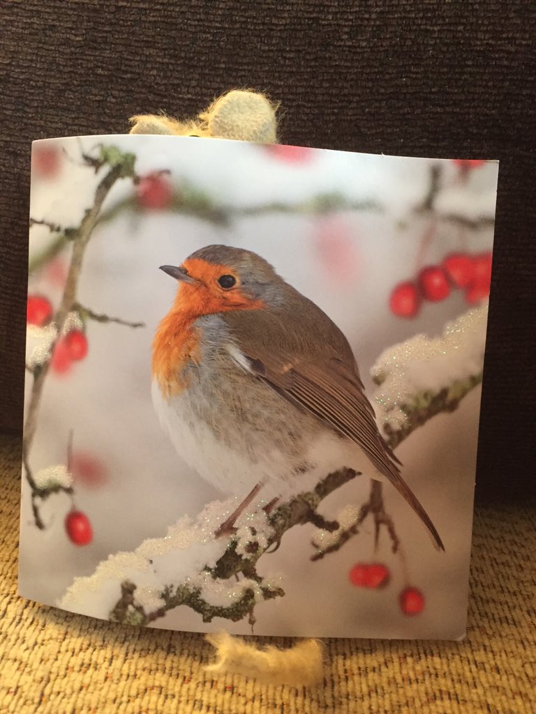 pip_mouse's tweet image. Can you see me @spyteamHQ ? Thank you for for the lovely card Shhhhh #spyteam