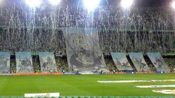 RBB_betis_1907's tweet photo. ¡¡¡50.000 CONTRA 4 GATOS!!! https://t.co/YRvti14umA