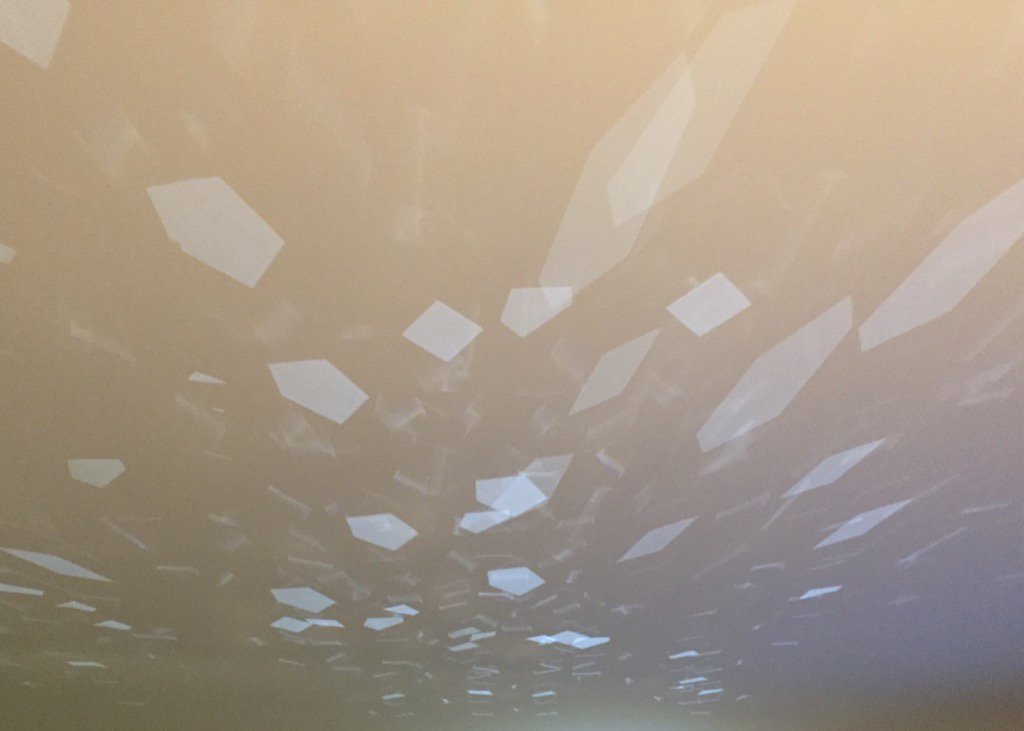 GordoSlush's tweet image. Stayed @RenHotelYEG  @FlyEIA #greatroom #greathotel #coollights #adios #FelizNavidad