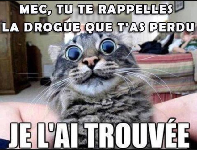 CodeDeChat's tweet photo. Mdrr 😹 #codedechat https://t.co/FD7znPD7h2