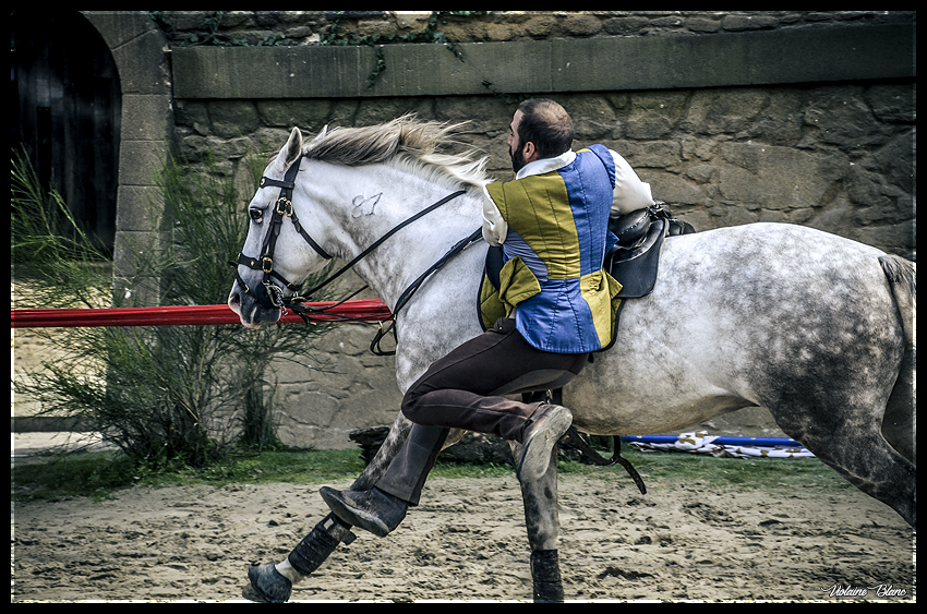 lesphotosdevio's tweet photo. La voltige cosaque ! J'adore ça ! #PuyDuFou #LeSecretDeLaLance #Cheval #VoltigeCosaque https://t.co/QDTc3gtjCD