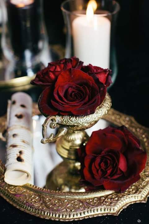 rabab0905's tweet photo. @AZiqlam @msaade99 @adelmoto @AAAASSQ @HanaaMhdi مساااااائكم ورد @9999sso @mord307 @umyusuf83 https://t.co/BfyY7ihT9T