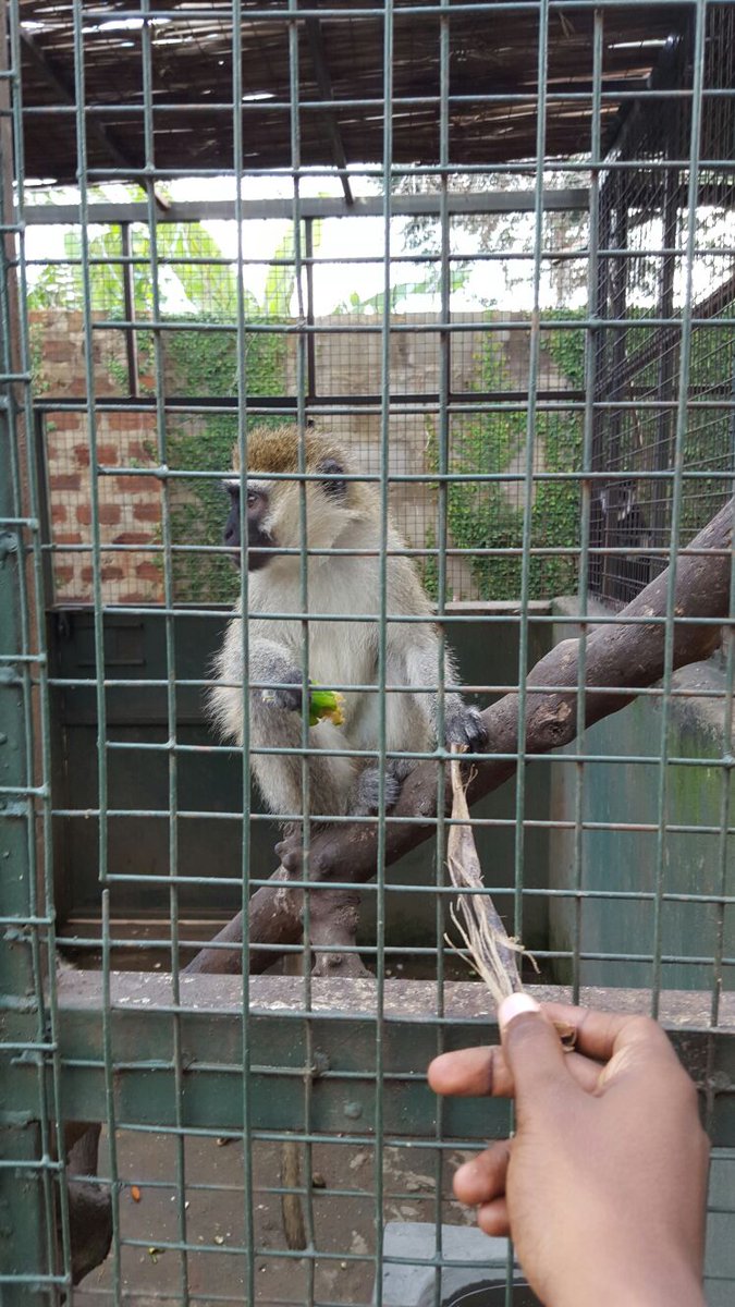 Discovering Uganda tweet media