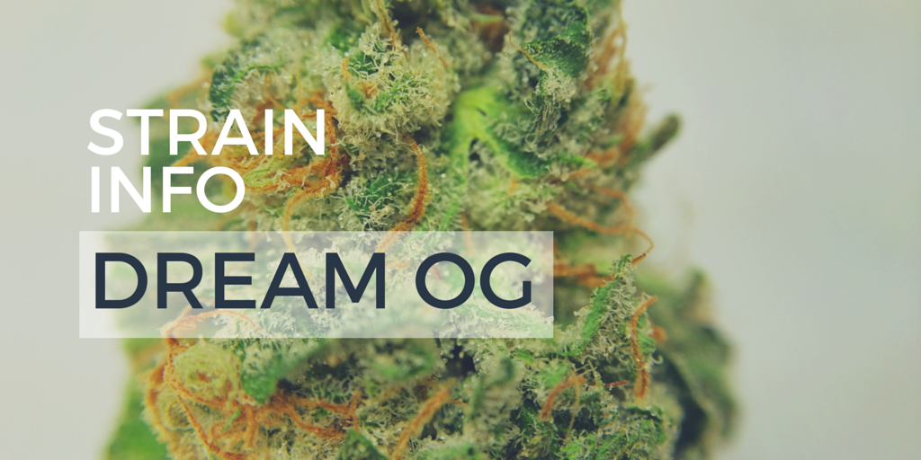 ThinkTankExile's tweet photo. This hybrid #strain promotes #relaxation, boost moods and increases appetite - https://t.co/jkc2MuZtJt #DreamOG https://t.co/zo6WXYibjB