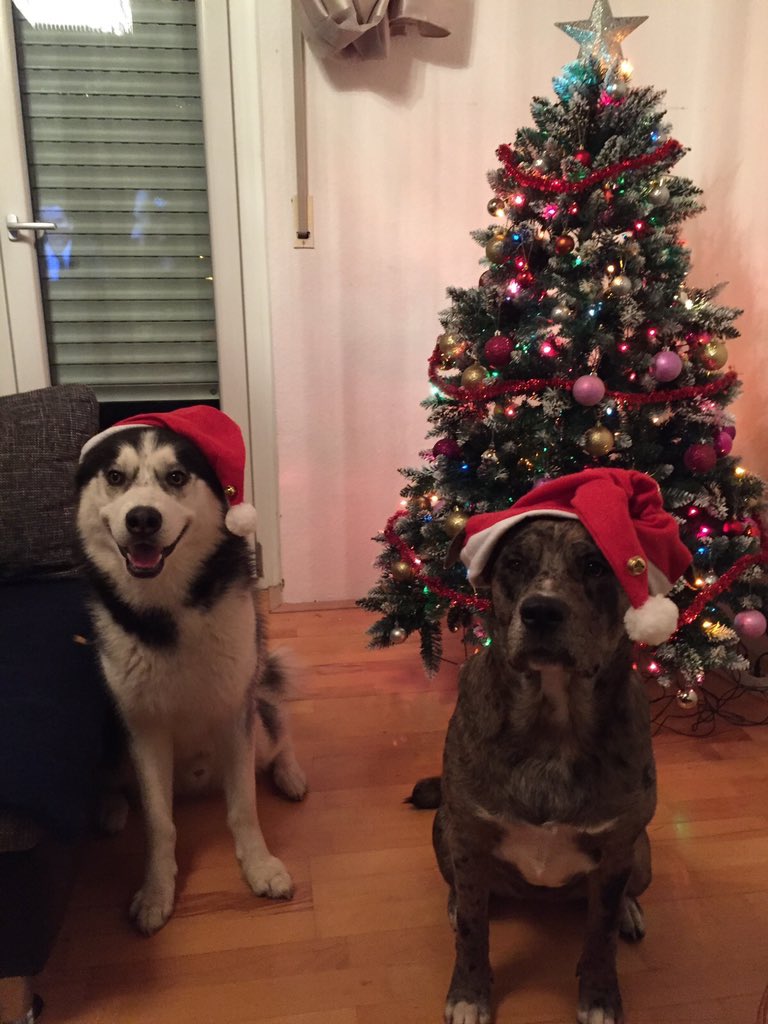 eray kisa (@eray_kisa) on Twitter photo 