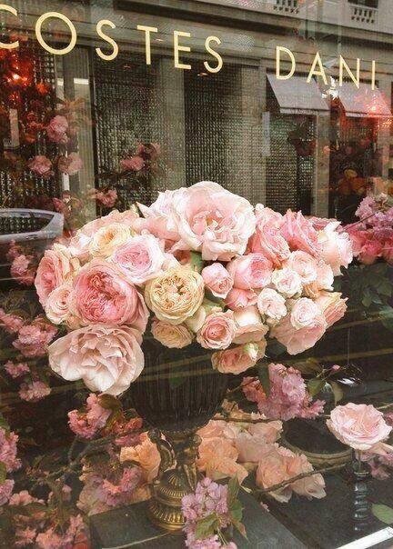 ~*~ Saffron ~*~ tweet media