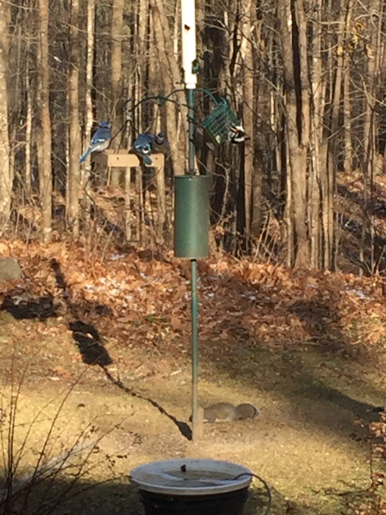epointweather's tweet photo. 14 F and sunny https://t.co/G1rGd4eQi3