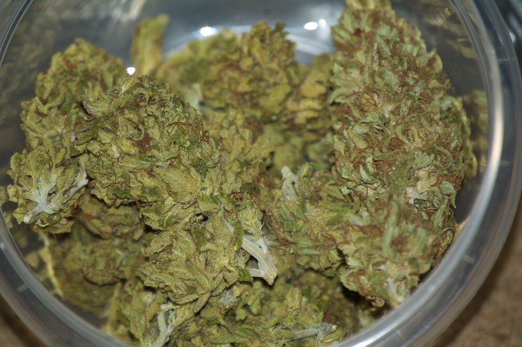 Cannabis #weed #cannabis #marijuana #medicalmarijuana #medicate #kush #cheese #haze #blunt #bong #stonerfam #stoned