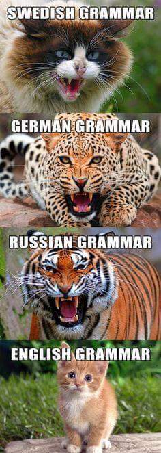 Swedish, German, Russian, and... English #grammar :)