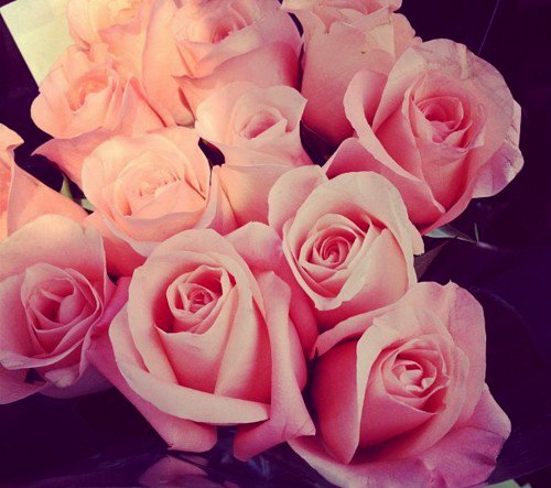 Nxeunotp's tweet photo. El color rosa hace referencia a las personas de buen corazón. Simboliza el amor y el cariño.
#ACRT08 #COLORWEEK https://t.co/oaaYkOb24B