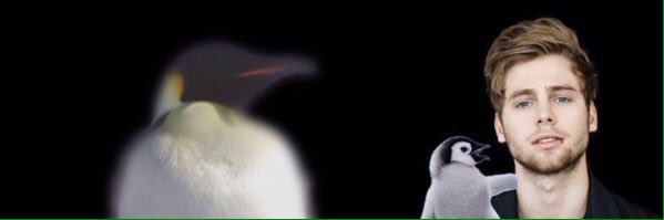 69JARVYS's tweet image. @Luke5SOS @Ashton5SOS @Calum5SOS fucking match michael